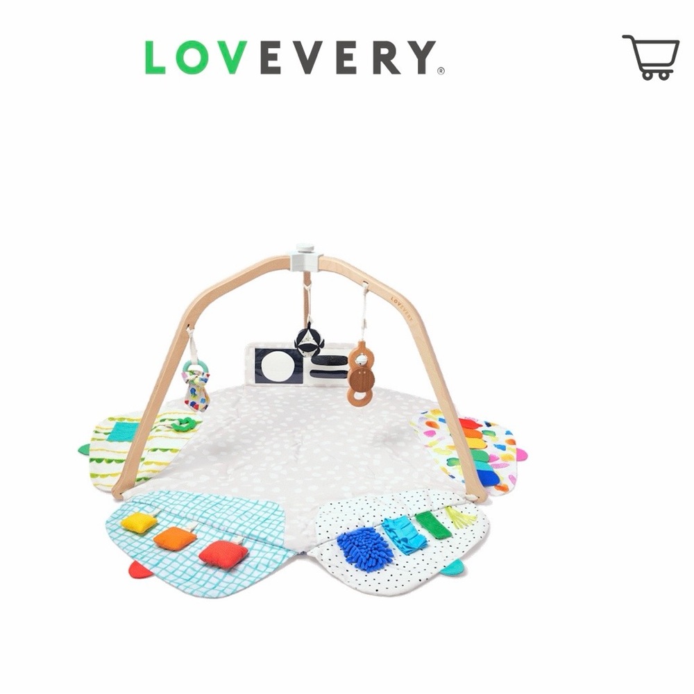 Play Gym with Colorful Accessories